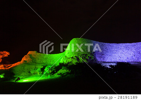 今帰仁グスク桜まつり　今帰仁城 28191189