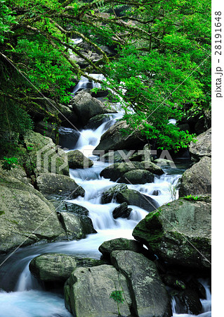 速度 スピード 岩 28191648