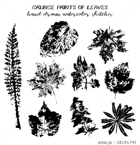 Set of grunge prints of leaves Set of grunge prints of leaves 28191745