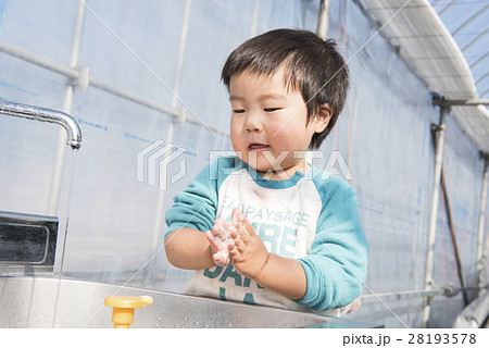 手を洗う男の子 28193578