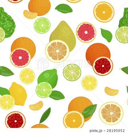 Fresh Citrus set. Bergamot, lemon, grapefruit 28195052
