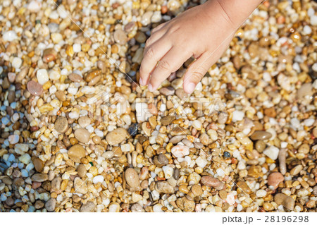 Child hands collect pebbles Child hands collect pebbles 28196298