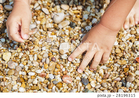 Child hands collect pebbles 28196315