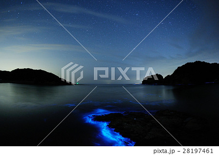 夜光虫と星空 28197461