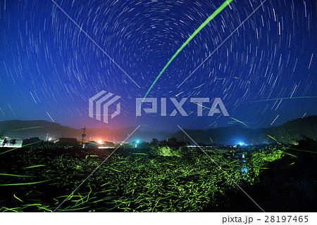 蛍と星の日周運動 28197465