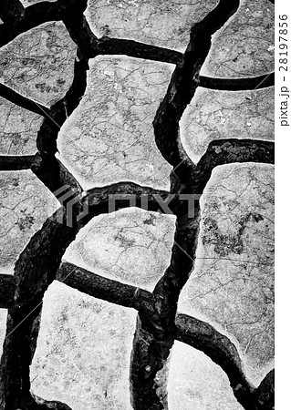 Dry ground Dry ground 28197856