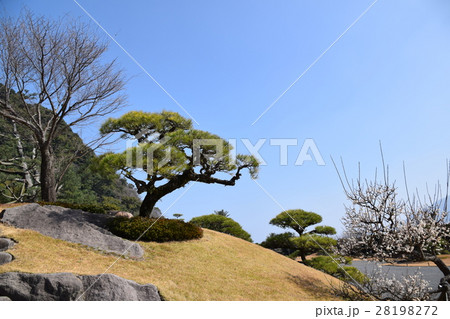 仙巌園(薩摩藩大名庭園)島津 斉彬 せごどん 西郷隆盛 篤姫 世界文化遺産 大名庭園 大久保利通 仙巌園(薩摩藩大名庭園)島津 斉彬 せごどん 西郷隆盛 篤姫 世界文化遺産 大名庭園 大久保利通 28198272