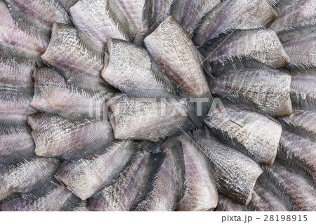 New fish dried under the sun prepare for cook in in market New fish dried under the sun prepare for cook in in market 28198915