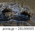 水辺の氷 28199005