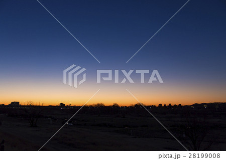 多摩川　夜明け 28199008