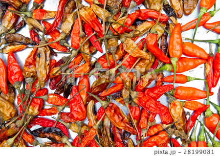 Dried chili background texture Dried chili background texture 28199081