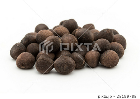 アサフラン・デ・ボリータ：Azafran de Boilta(Ditaxis heteranth) 28199788