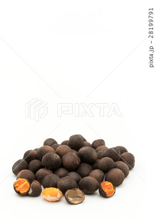 アサフラン・デ・ボリータ:Azafran de Boilta(Ditaxis heteranth) アサフラン・デ・ボリータ:Azafran de Boilta(Ditaxis heteranth) 28199791