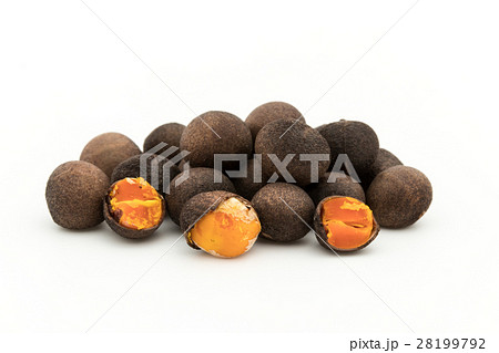 アサフラン・デ・ボリータ：Azafran de Boilta(Ditaxis heteranth) 28199792