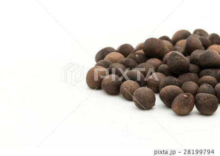 アサフラン・デ・ボリータ：Azafran de Boilta(Ditaxis heteranth) 28199794