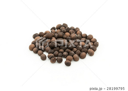 アサフラン・デ・ボリータ:Azafran de Boilta(Ditaxis heteranth) アサフラン・デ・ボリータ:Azafran de Boilta(Ditaxis heteranth) 28199795