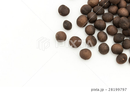 アサフラン・デ・ボリータ:Azafran de Boilta(Ditaxis heteranth) アサフラン・デ・ボリータ:Azafran de Boilta(Ditaxis heteranth) 28199797