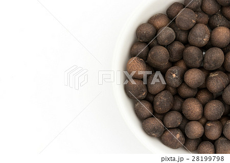 アサフラン・デ・ボリータ：Azafran de Boilta(Ditaxis heteranth) 28199798