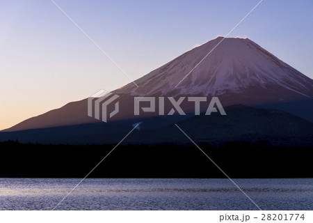 未明の精進湖より富士山 28201774