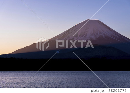 未明の精進湖より富士山 28201775