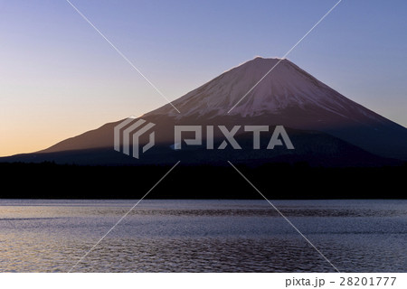 未明の精進湖より富士山 28201777