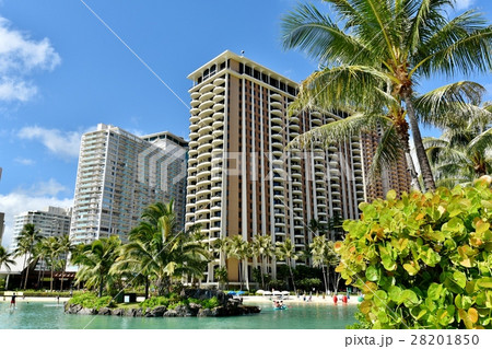 ハワイの休日 28201850