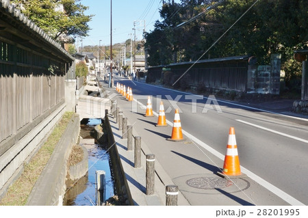 町田市　小野路の春は　東京 28201995