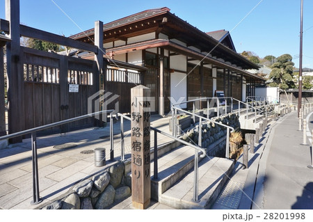 町田市　小野路の春は　東京 28201998