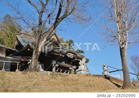 町田市　小野路の春は　小野神社 28202000
