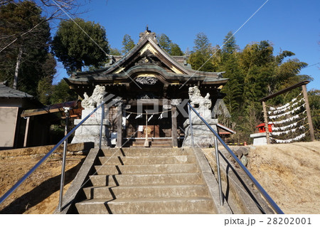 町田市　小野路の春は　小野神社　 28202001