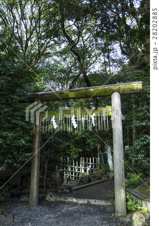 木嶋坐天照御魂神社 木嶋坐天照御魂神社 28202885