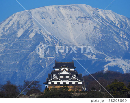 2月滋賀　彦根城・天守閣と伊吹山 28203069