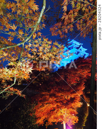 11月岐阜　郡上八幡城・天守ブルーライトアップと紅葉 28204324