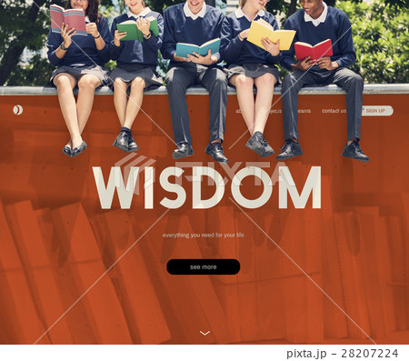 Distance learning online webpage interface 28207224