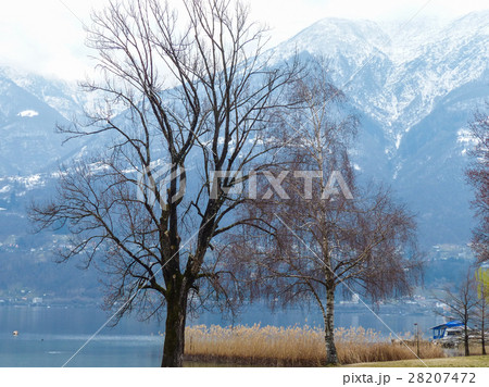 マジョーレ湖 28207472