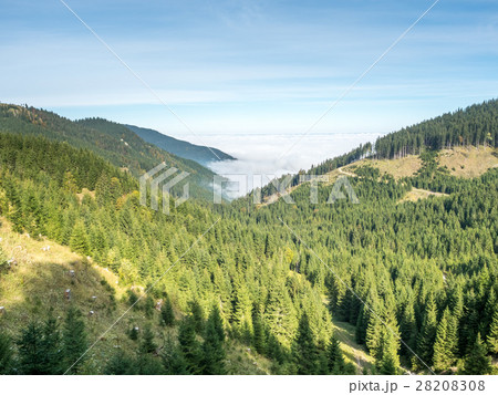 Kolbensattel near Oberammergau scenes Kolbensattel near Oberammergau scenes 28208308