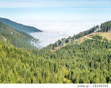 Kolbensattel near Oberammergau scenes 28208309
