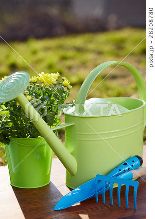 Gardening tools and flower Gardening tools and flower 28208780