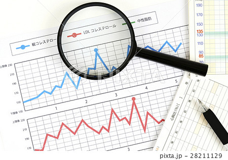 コレステロール 28211129