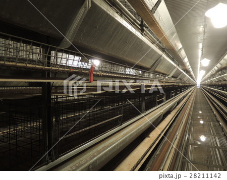 空の鶏舎 28211142