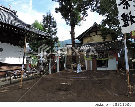 神社　奉納子供相撲大会（中條神社の境内） 28211636