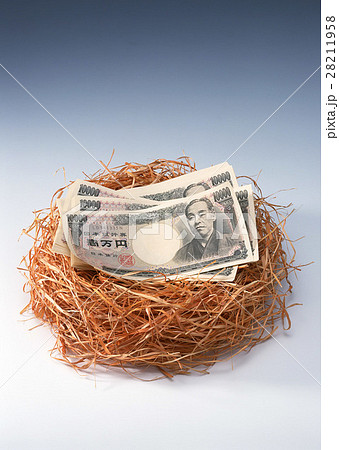 日本円 28211958
