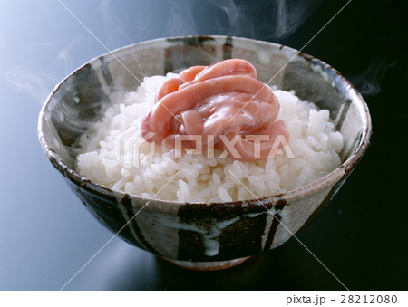 塩辛ごはん 28212080