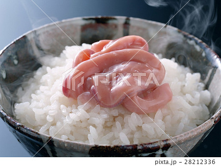 塩辛ごはん 28212336