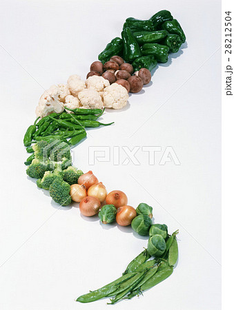 野菜いろいろ 野菜いろいろ 28212504