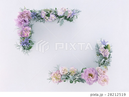花のフレーム 28212519