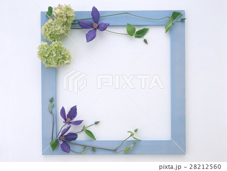 花のフレーム 28212560