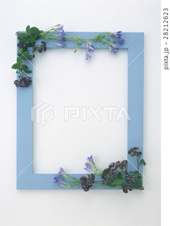 花のフレーム 28212623