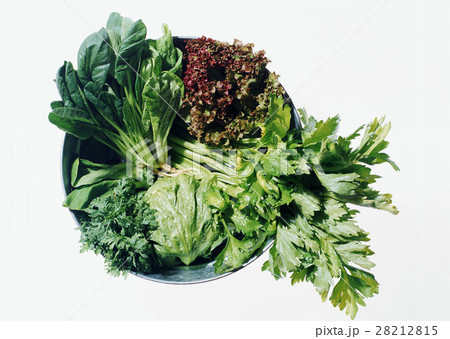 葉菜類いろいろ 葉菜類いろいろ 28212815