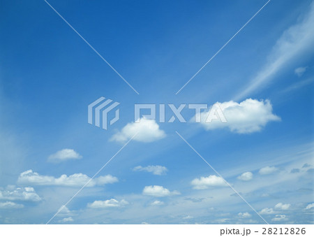 青空 28212826